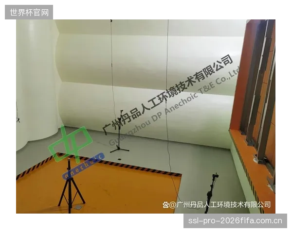 只在“空场”条件下验收声学指标,是对体育馆赛时真实体验的集体忽视 只在“空场”条件下验收声学指标,是对体育馆赛时真实体验的集体忽视